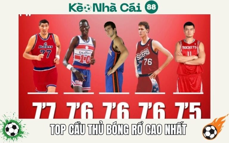 Top Cầu Thủ Bóng Rổ Cao Nhất Trong Lịch Sử - Những Con Ong Khổng Lồ 13 Top Cầu Thủ Bóng Rổ Cao Nhất Trong Lịch Sử - Những Con Ong Khổng Lồ